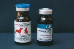 What are the names of common tranquilizers?